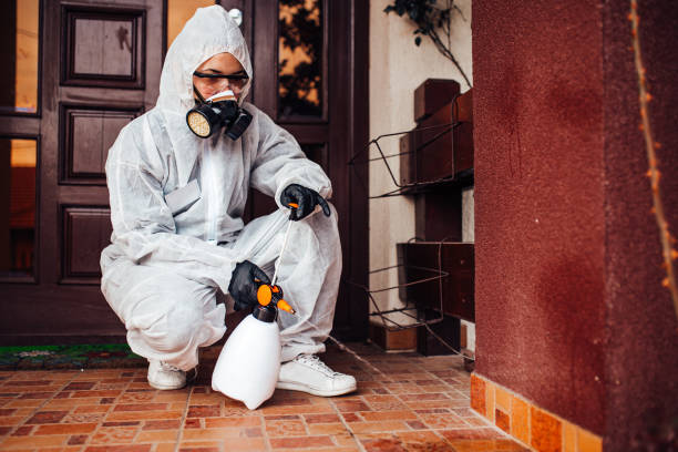 Reliable Bed Bug Control contractor in Meadville, PA by Nex Pest Control