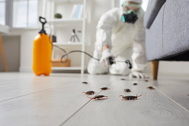 Trusted Fumigation Services service in Meadville, PA - Nex Pest Control
