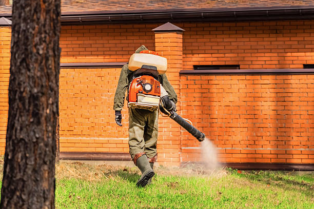 Trusted Cockroach Control service in Meadville, PA - Nex Pest Control